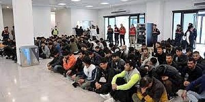 2023' te sınır dışı edilen kaçak göçmen sayısı ne kadar?