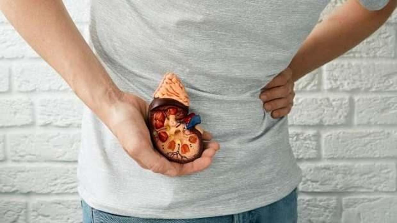 Böbrek taşı olanlar ne yemeli, ne yememeli? Hangi yiyecekler böbrek taşı yapar?