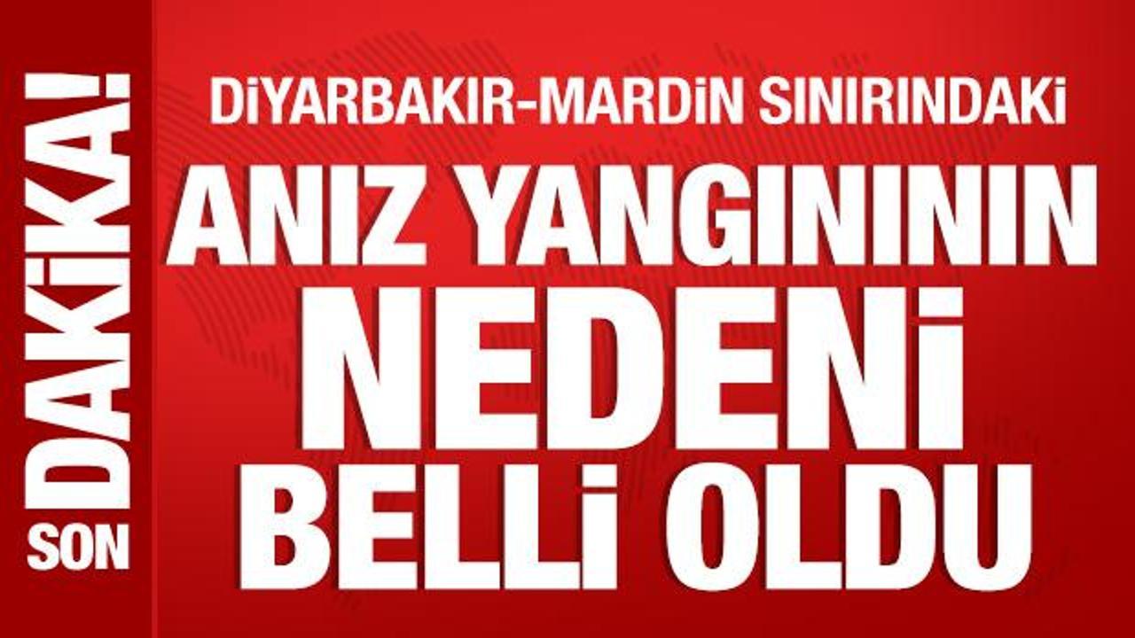 Diyarbakır'daki anız yangınının nedeni belli oldu