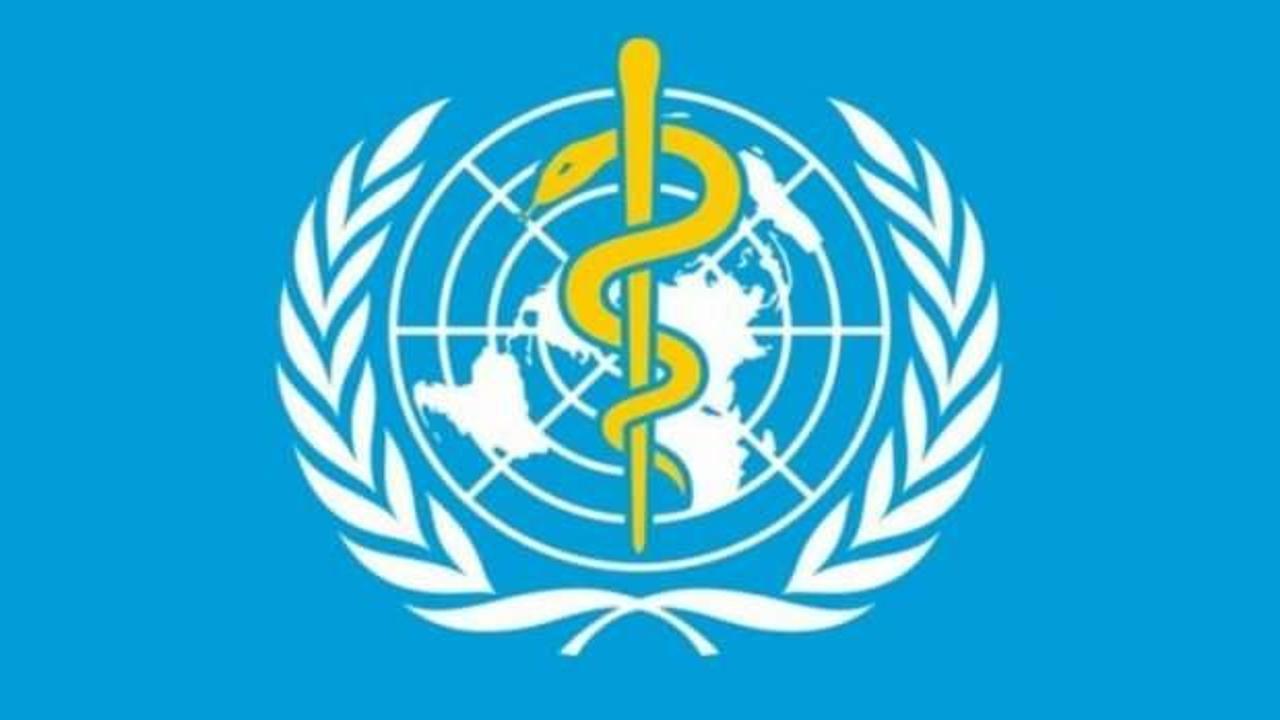 Dünya Sağlık Örgütü Meksika'da ilk ölümcül H5N2 kuş gribi vakasını doğruladı