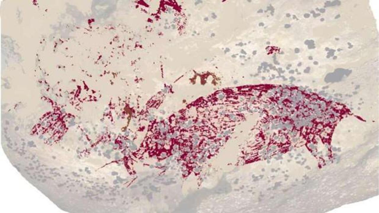 Dünyanın en eski mağara resmi bulundu!