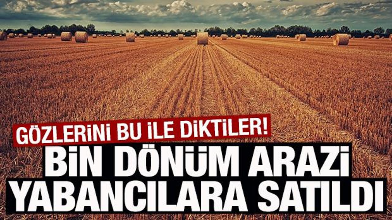 Gözlerini bu ile diktiler! Bin dönüm arazi yabancılara satıldı