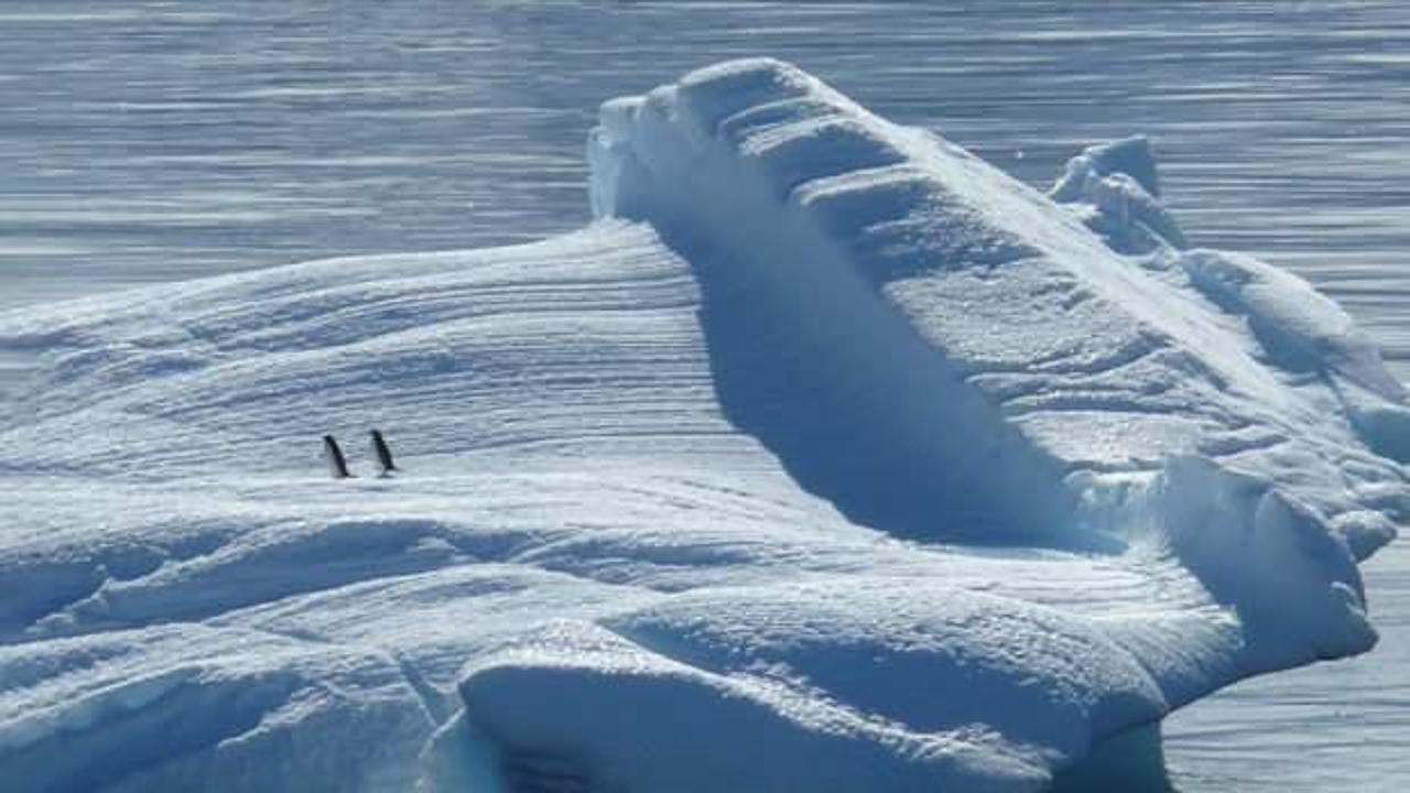 Güney ile Kuzey kutupları arasındaki asimetrik erime iklim değişikliğiyle bağlantılı