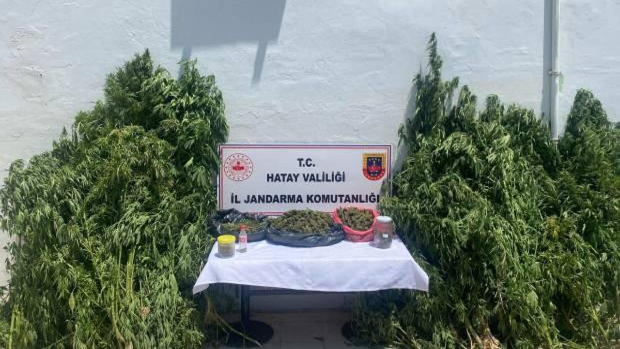 Hatay'da uyuşturucu ve kaçakçılık operasyonu: 30 şüpheli yakalandı