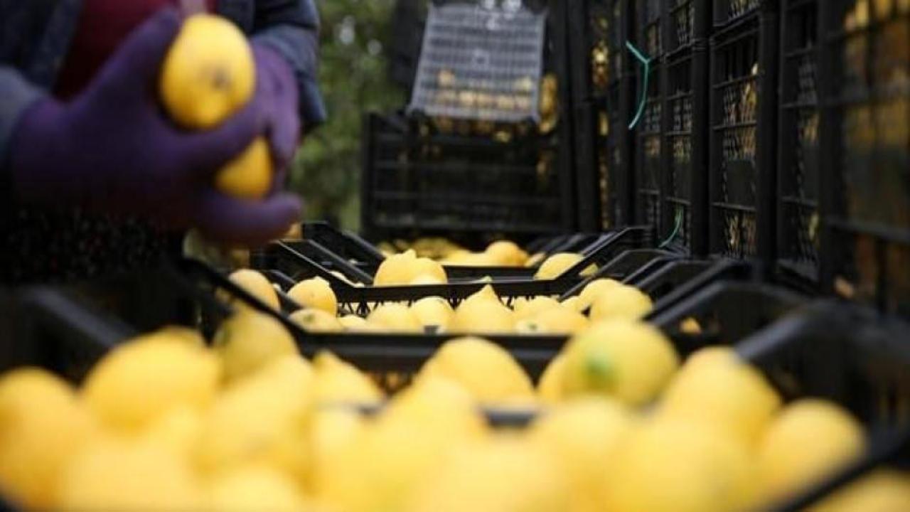 İstanbul'un zam şampiyonu belli oldu