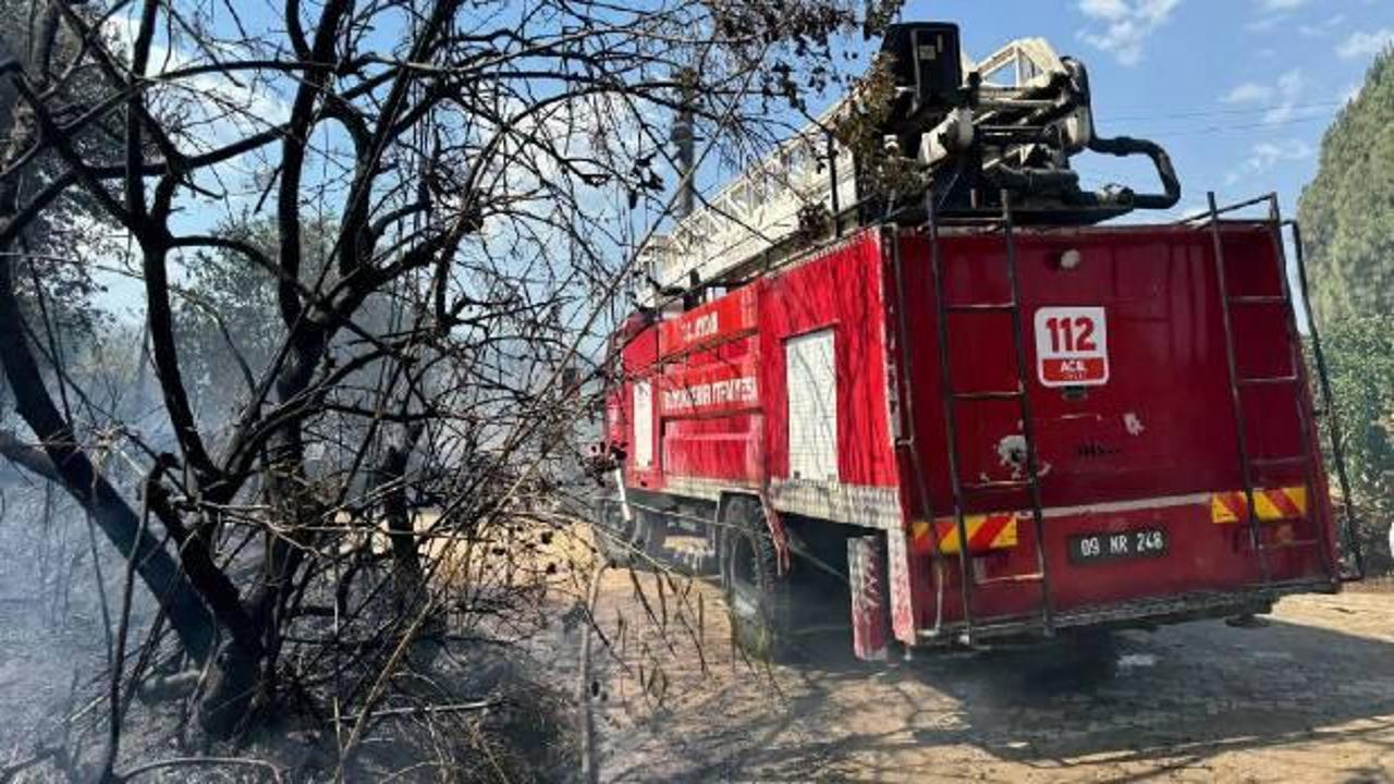 İzmir Bergama'da orman yangını! Ekipler müdahale ediyor