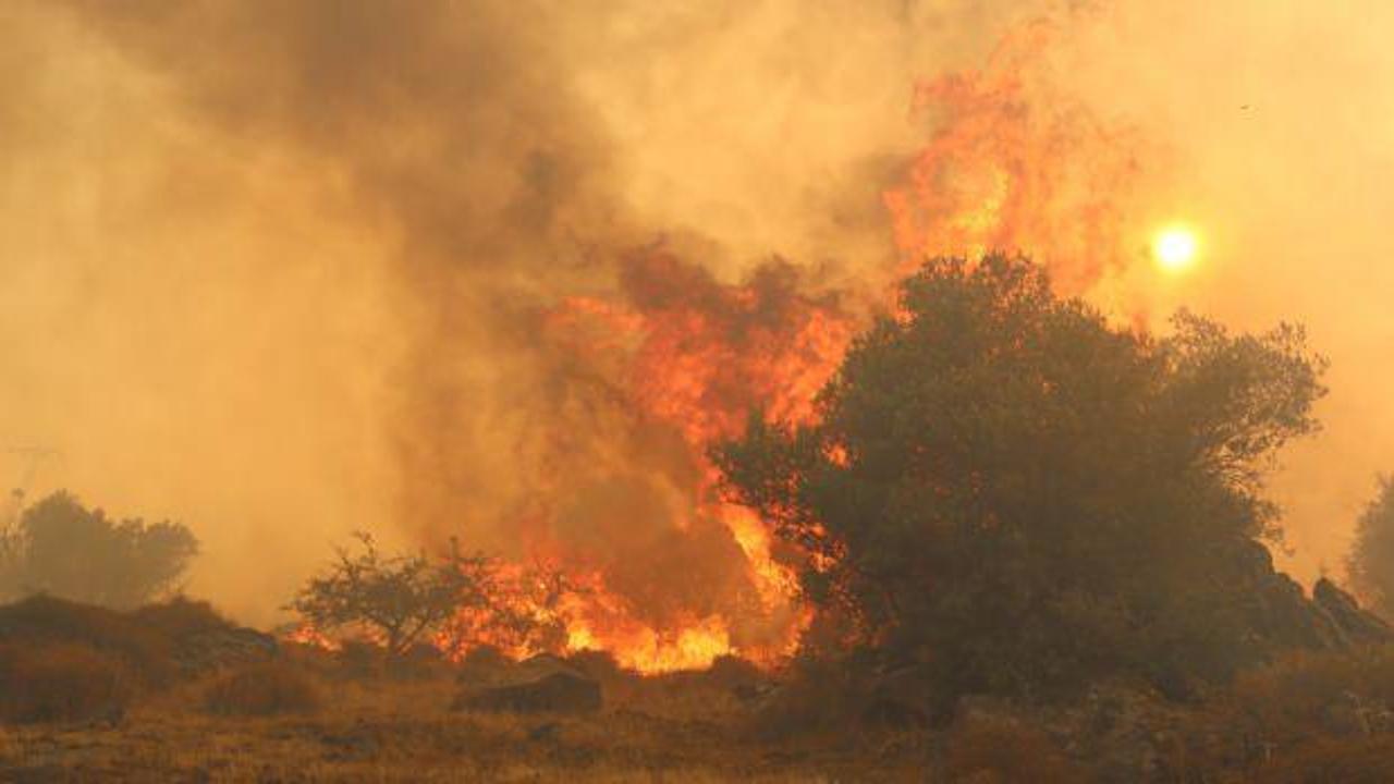 İzmir'de orman yangını: Bir bağ evi kül oldu!