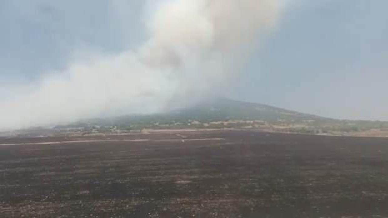 Kahramanmaraş'ta orman yangını