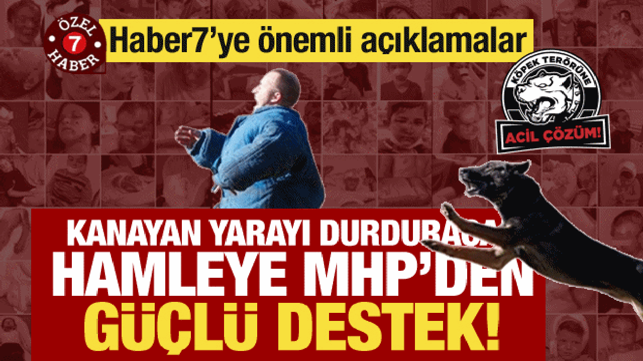 Kanayan yarayı durduracak kanun teklifine MHP’den destek! Haber7’ye önemli açıklama