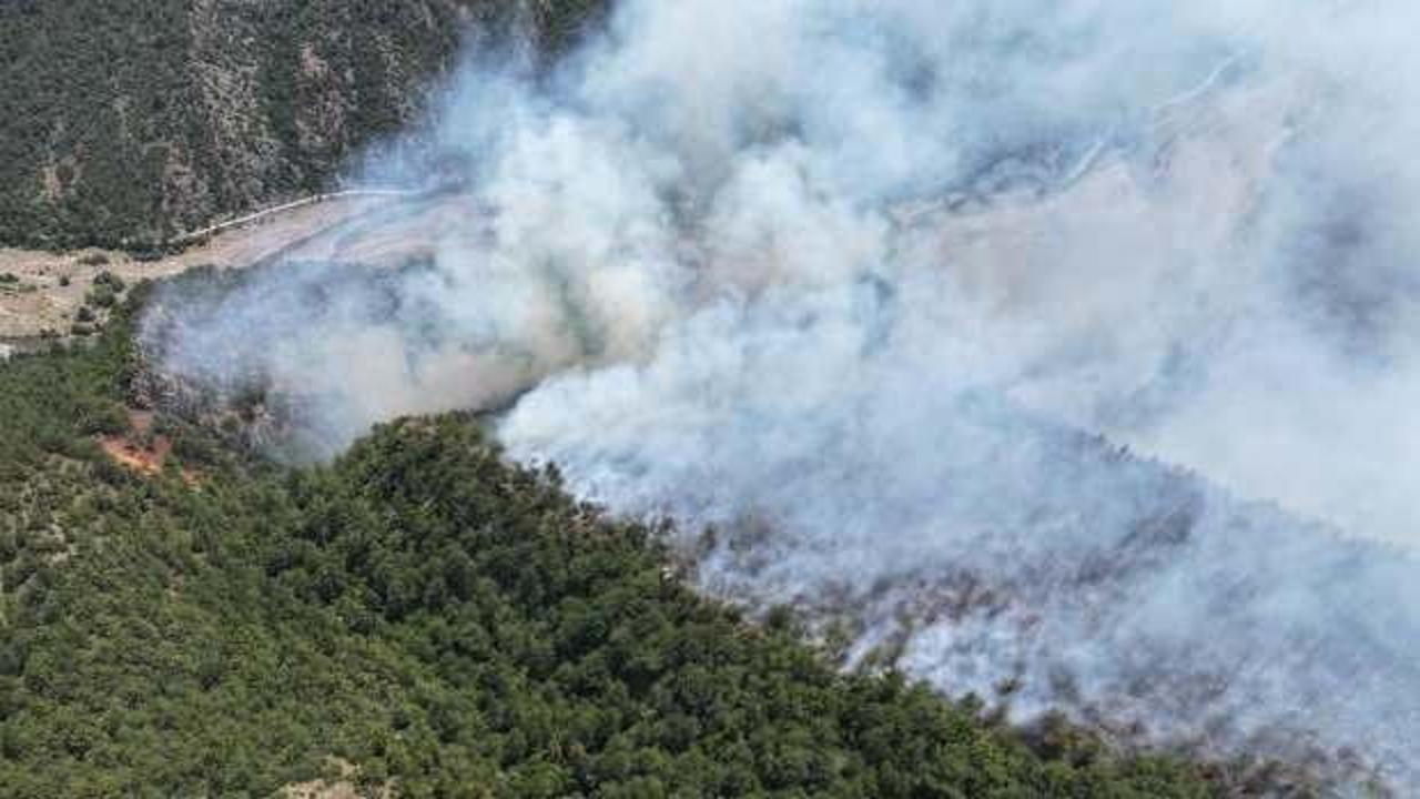 Karabük'te ormana yıldırım düştü, yangın çıktı