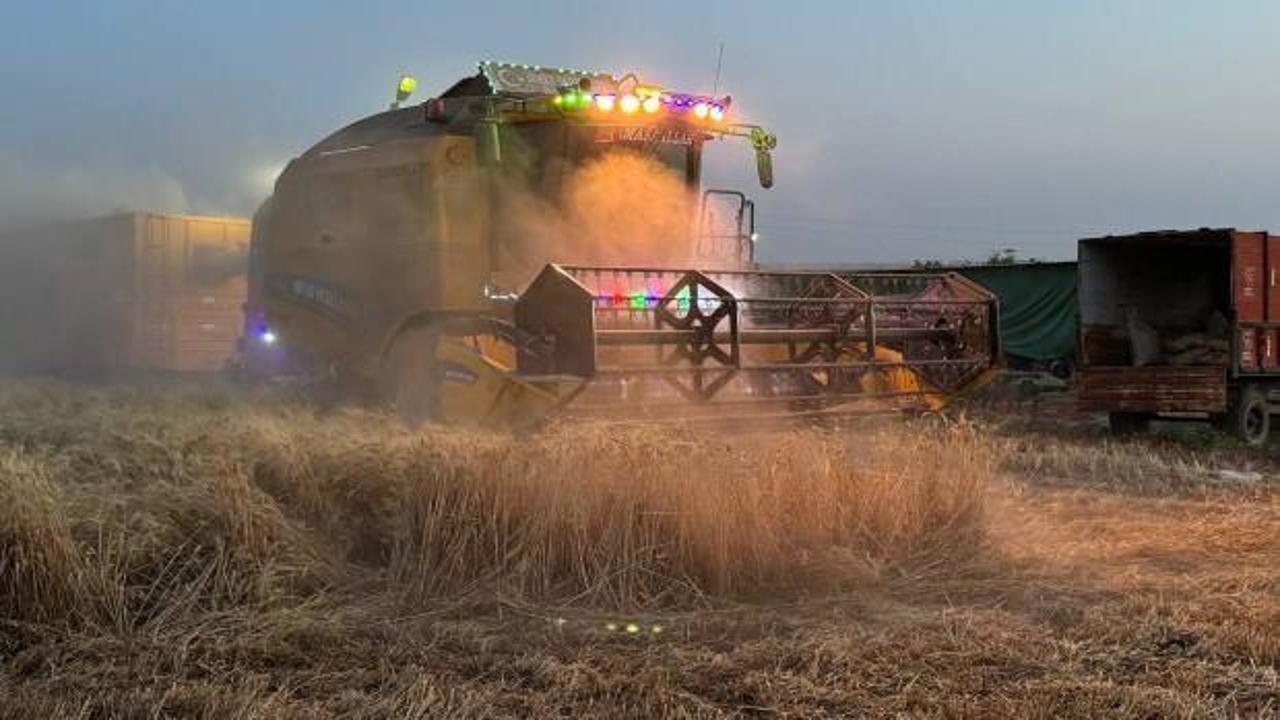 Kilis'te çiftçilerin zorlu mesaisi bayramda da devam ediyor