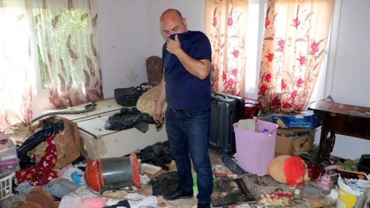 Kiracının çıktığı evde korkunç manzara! Onlarca kedi ölüsü çıktı