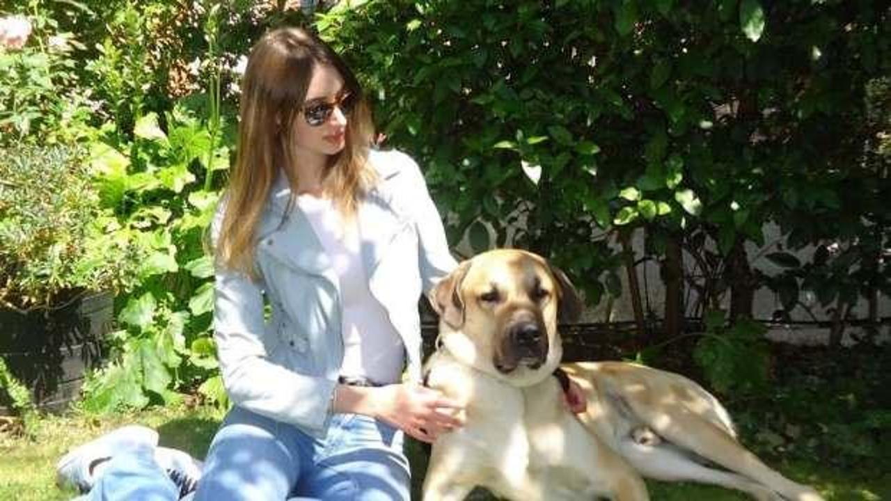 Londra'da yaşayan İngiliz İsidora'nın 'Kangal' tutkusu