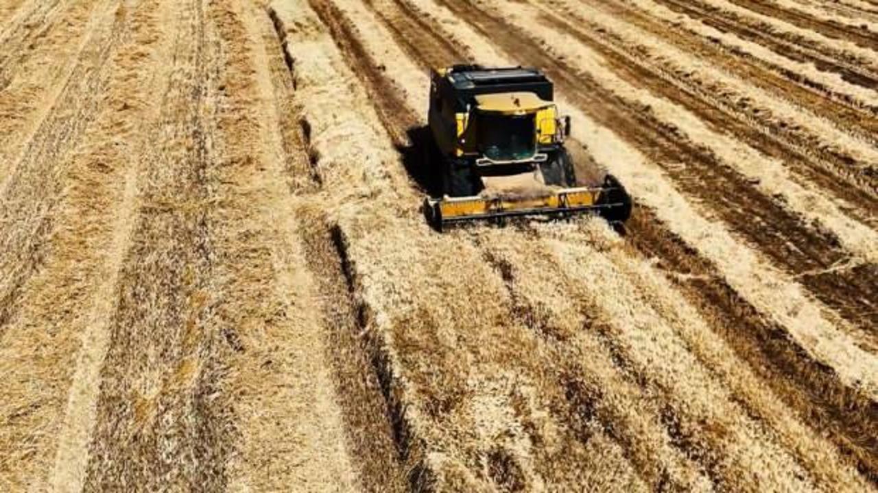 Mardin'de bayramda hasat dron ile görüntülendi