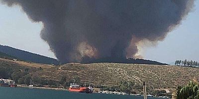 Muğla'da orman yangını