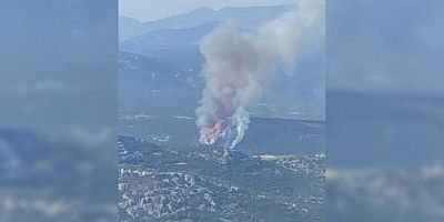 Muğla'da yangın çıktı