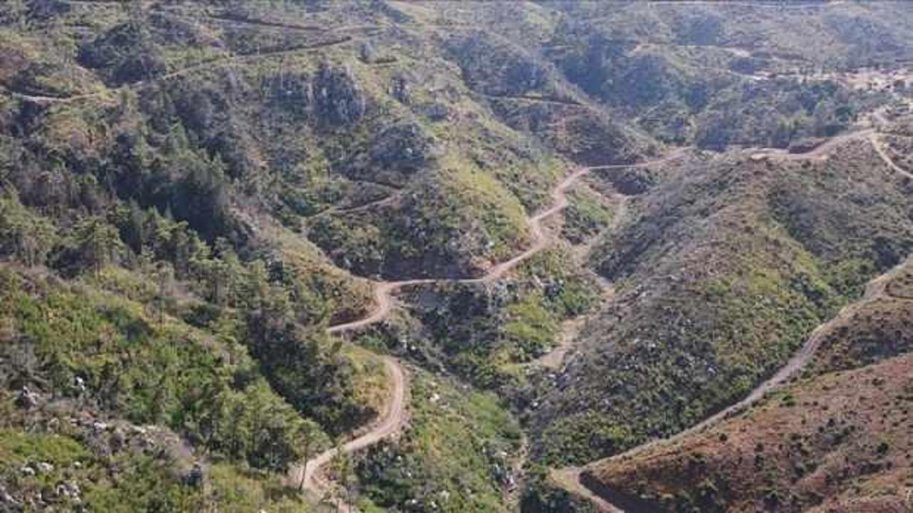 Muğla'da yanan ormanlık alanlar yeniden yeşeriyor