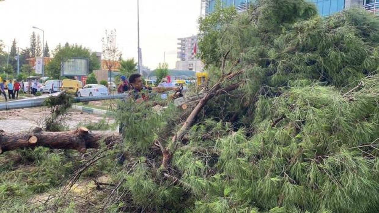 Osmaniye’de şiddetli fırtına çatıları uçurdu, ağaçları kökünden söktü