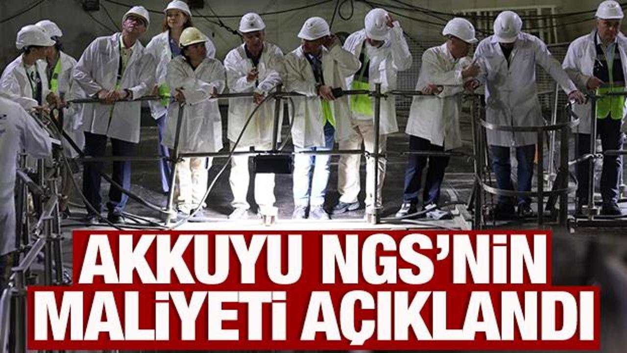 Rusya, Akkuyu NGS'nin maliyetini açıkladı