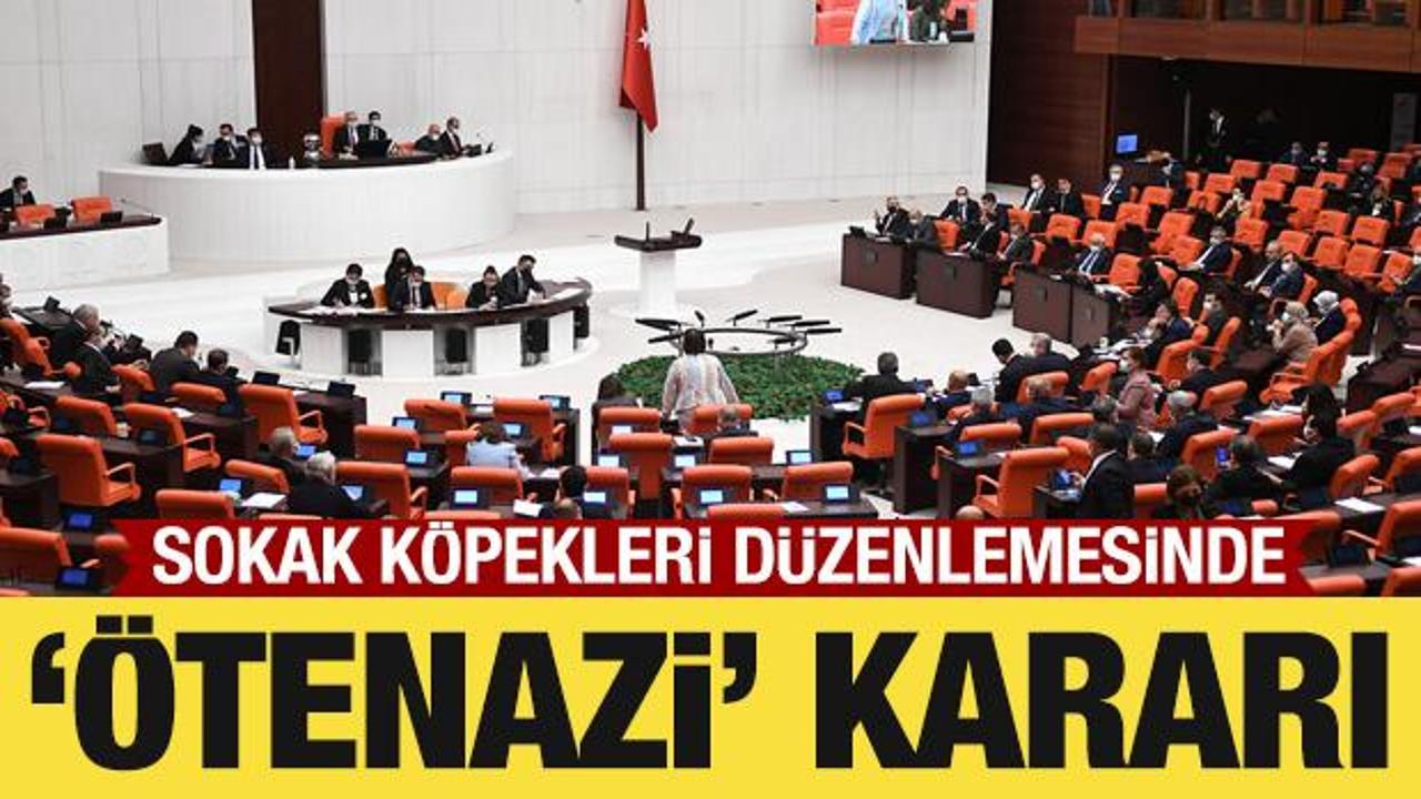 Sokak köpekleri düzenlemesinde 'ötenazi' ibaresi çıkarıldı