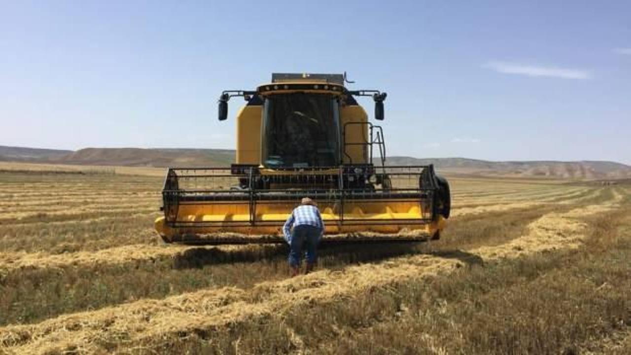 Sungurlu'da biçerdöverler denetleniyor