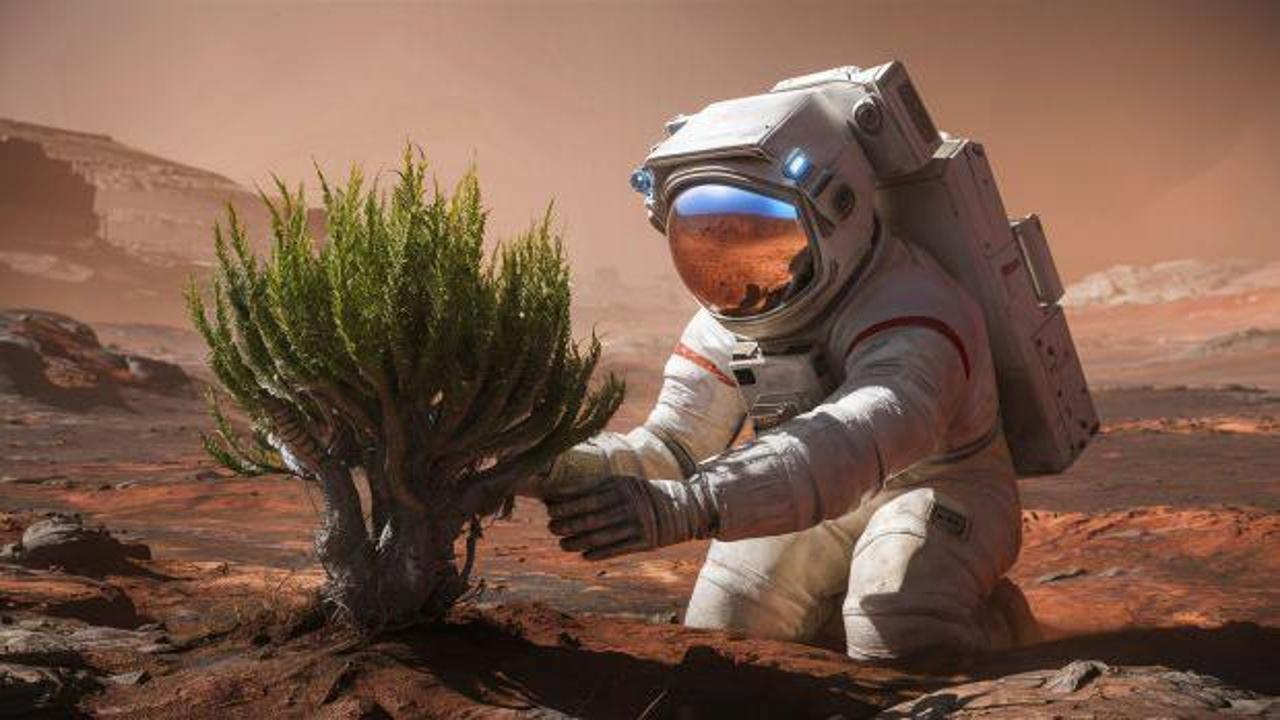 Tarihi keşfi açıkladılar! -196 dereceye dayanıklı, Mars'ta yaşayabiliyor...