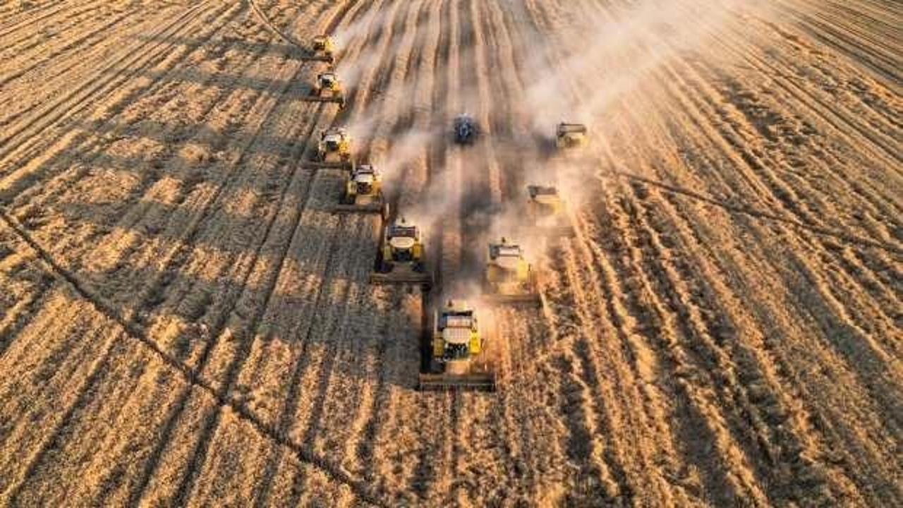 Tarım sektöründen ihracat rekoru