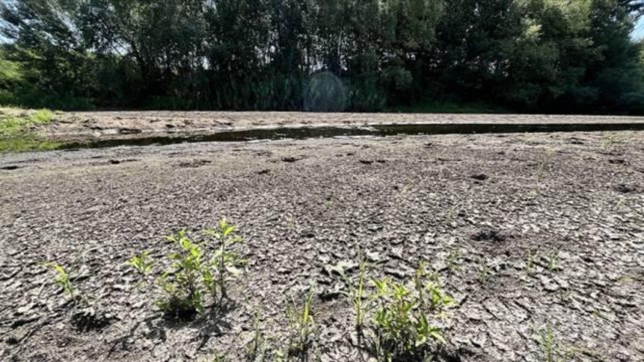 Tunca Nehri'nin debisinin düşmesi çeltik üreticilerini olumsuz etkiliyor