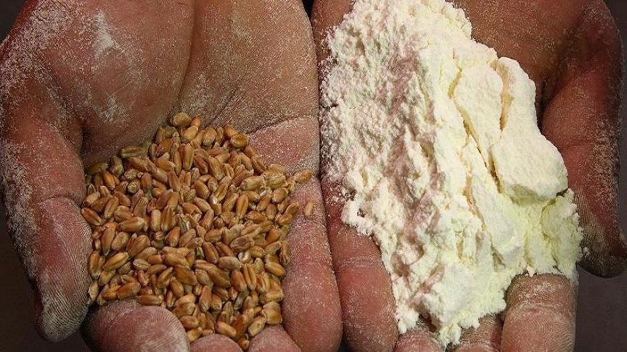 Un sanayicileri buğdayda 20 milyon tonluk rekolte bekliyor