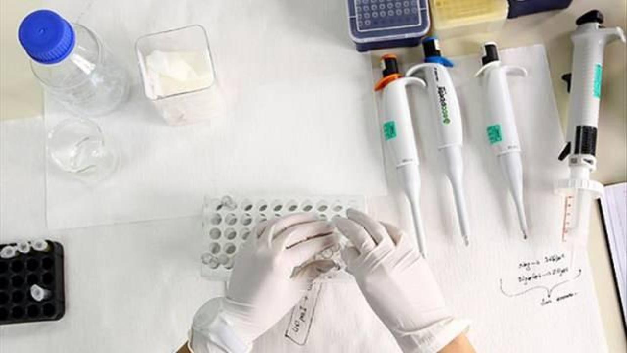 Yeni test ile meme kanseri aylar önce teşhis edilebilecek